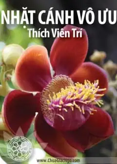 Ảnh Nhặt Cánh Vô Ưu