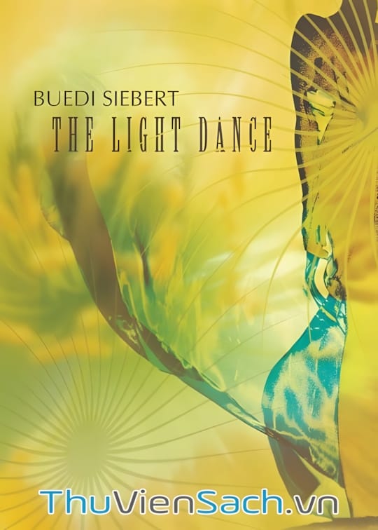 Ảnh bìa sách Vũ Điệu Của Ánh Sáng - The Light Dance