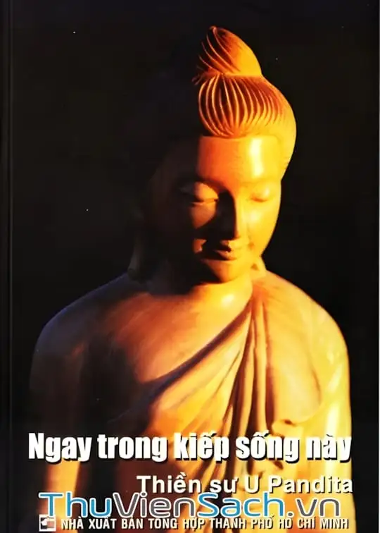 Ảnh bìa sách Ngay Trong Kiếp Sống Này