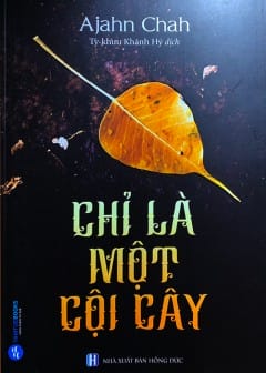 Chỉ Là Một Cội Cây