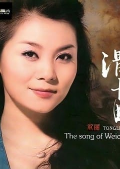 Ảnh Những Bài Hát Hay Nhất Của Đồng Lệ