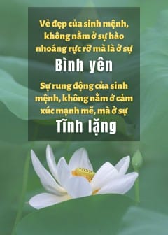 Ảnh Tâm Tĩnh Lặng Ức Chế Lửa Oán Hận Là Một Cảnh Giới Cao Thượng Của Trí Tuệ