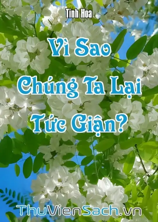 Ảnh bìa sách Vì Sao Chúng Ta Lại Tức Giận?