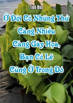 Ảnh Ở Đời Có Những Thứ Càng Nhiều Càng Gây Họa, Bạn Có Lẽ Cũng Ở Trong Đó
