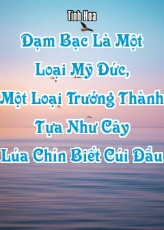 Ảnh Đạm Bạc Là Một Loại Mỹ Đức, Một Loại Trưởng Thành Tựa Như Cây Lúa Chín Biết Cúi Đầu