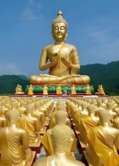 Tất Cả Đều Là Phật