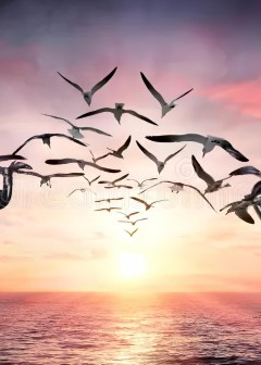 Tự Do Giữa Những Xiềng Xích Vô Hình